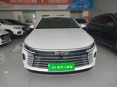 BYD Destroyer 05 Glory Edition DM-i 55KM Luxury - ფოტო 3