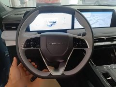 Nissan Venucia V DD-i Killer Whale 150km Joy Edition - ფოტო 11
