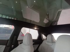Nissan Venucia V DD-i Killer Whale 150km Joy Edition - ფოტო 18