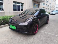 Tesla Model Y 2023 Rear-Wheel Drive - ფოტო 2