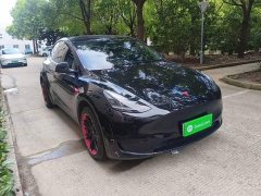 Tesla Model Y 2023 Rear-Wheel Drive - ფოტო 4