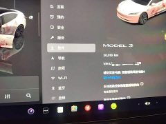 Tesla Model 3 2023 Rear-Wheel Drive - ფოტო 12