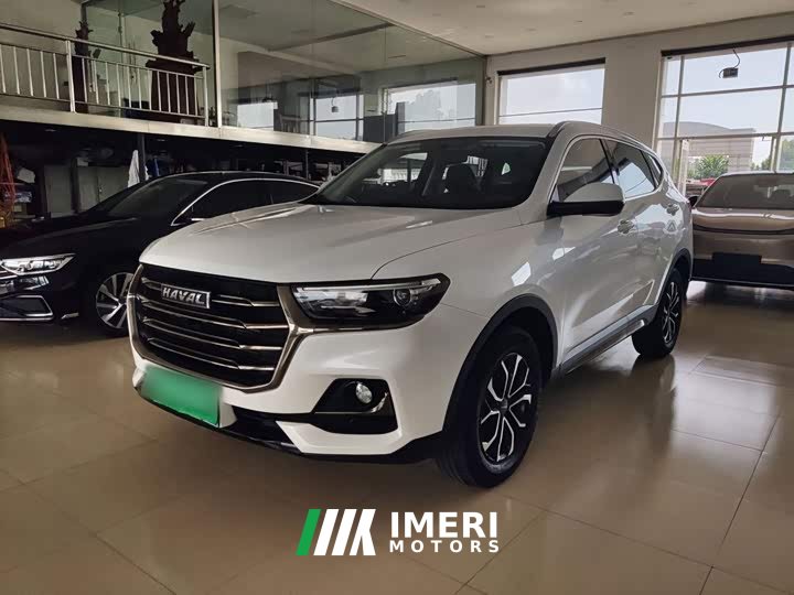 Haval H6 2021 National Trend Edition 1.5T Automatic Urban Version - ავტომობილი ჩინეთიდან
