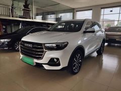 Haval H6 2021 National Trend Edition 1.5T Automatic Urban Version - ფოტო 1