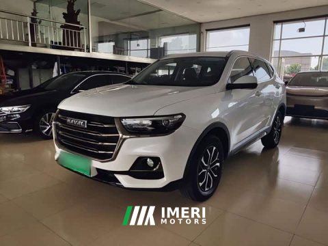 2022 Haval H6 2021 National Trend Edition 1.5T Automatic Urban Version - ავტომობილი ჩინეთიდან