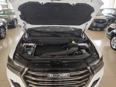 Haval H6 2021 National Trend Edition 1.5T Automatic Urban Version - ფოტო 20