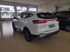 Haval H6 2021 National Trend Edition 1.5T Automatic Urban Version - ფოტო 5