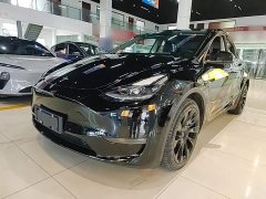 Tesla Model Y Standard Range RWD - ფოტო 1
