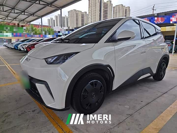 BYD Seagull 305km Vitality Edition