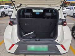 BYD Seagull 305km Vitality Edition - ფოტო 19
