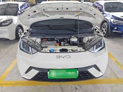 BYD Seagull 305km Vitality Edition - ფოტო 20