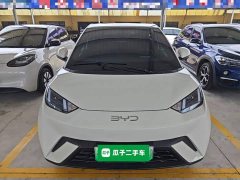 BYD Seagull 305km Vitality Edition - ფოტო 3