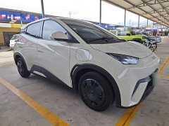 BYD Seagull 305km Vitality Edition - ფოტო 4