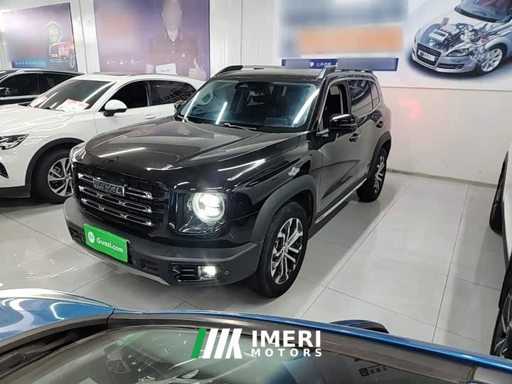 Great Wall Dachshund 2021 2.0T DCT Two-Wheel Drive Chinese Hunting Dog Edition - ავტომობილი ჩინეთიდან