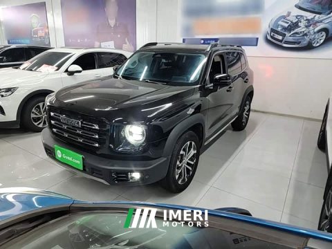 2022 Great Wall Dachshund 2021 2.0T DCT Two-Wheel Drive Chinese Hunting Dog Edition - ავტომობილი ჩინეთიდან
