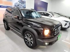 Great Wall Dachshund 2021 2.0T DCT Two-Wheel Drive Chinese Hunting Dog Edition - ფოტო 4