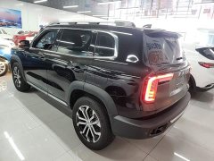 Great Wall Dachshund 2021 2.0T DCT Two-Wheel Drive Chinese Hunting Dog Edition - ფოტო 5