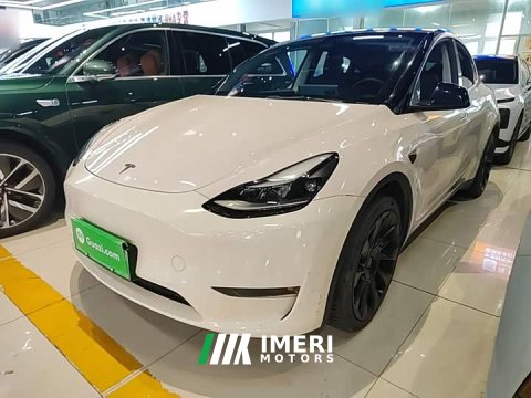 2021 Tesla Model Y Standard Range RWD - ავტომობილი ჩინეთიდან