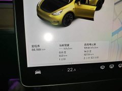 Tesla Model Y Standard Range RWD - ფოტო 12