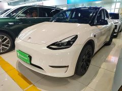 Tesla Model Y Standard Range RWD - ფოტო 2