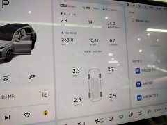 Li Auto L8 Max - ფოტო 12