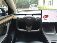 Tesla Model Y Long Range All-Wheel Drive 3D7 - ფოტო 11