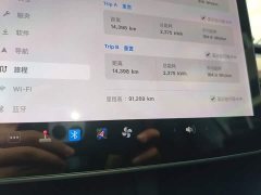 Tesla Model Y Long Range All-Wheel Drive 3D7 - ფოტო 12
