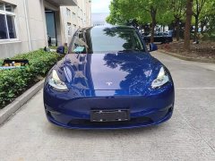 Tesla Model Y Long Range All-Wheel Drive 3D7 - ფოტო 3