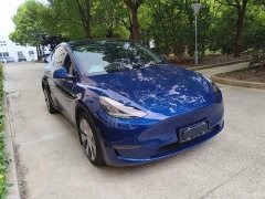Tesla Model Y Long Range All-Wheel Drive 3D7 - ფოტო 4