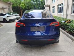 Tesla Model Y Long Range All-Wheel Drive 3D7 - ფოტო 6