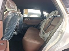 Wuling Xingguang S 2024 130km Pilot Edition - ფოტო 17
