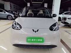 Wuling Binguo 2023 410km Lingxi Premium Edition - ფოტო 3