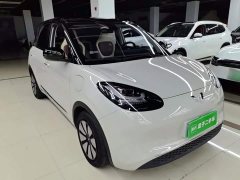 Wuling Binguo 2023 410km Lingxi Premium Edition - ფოტო 4