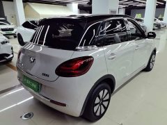 Wuling Binguo 2023 410km Lingxi Premium Edition - ფოტო 7