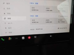 Tesla Model Y Rear-Wheel Drive - ფოტო 12