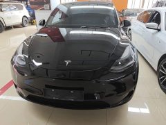 Tesla Model Y Rear-Wheel Drive - ფოტო 3