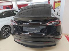 Tesla Model Y Rear-Wheel Drive - ფოტო 6