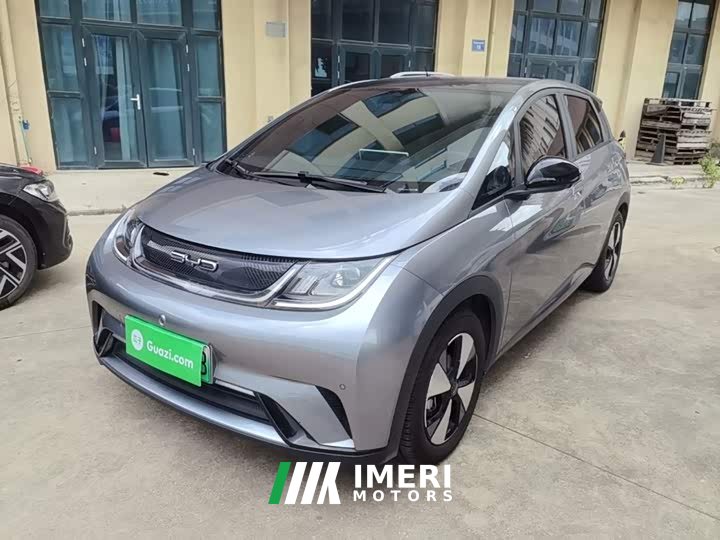 BYD Dolphin 420km Fashion Edition - ავტომობილი ჩინეთიდან