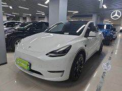 Tesla Model Y Long Range All-Wheel Drive - ფოტო 1