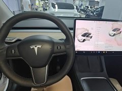 Tesla Model Y Long Range All-Wheel Drive - ფოტო 10