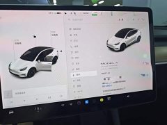 Tesla Model Y Long Range All-Wheel Drive - ფოტო 12