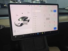Tesla Model Y Long Range All-Wheel Drive - ფოტო 13