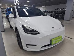 Tesla Model Y Long Range All-Wheel Drive - ფოტო 4