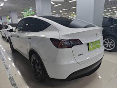 Tesla Model Y Long Range All-Wheel Drive - ფოტო 5