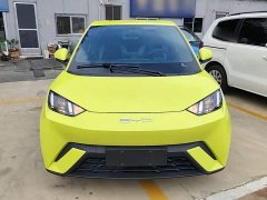 BYD Seagull Glory Edition 305km Vitality Version - ფოტო 3