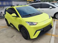 BYD Seagull Glory Edition 305km Vitality Version - ფოტო 4