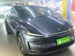 Tesla Model Y Rear-Wheel Drive - ფოტო 4