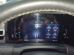Ford Edge PLUS EcoBoost 245 FWD Platinum Sharp 5-Seater - ფოტო 12