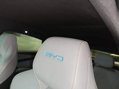 BYD Dolphin 700km Long Range Rear-Wheel Drive - ფოტო 18
