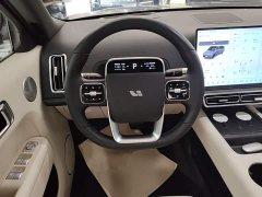 Li Auto L9 2022 Max - ფოტო 11